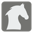 Chess Knight