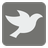 Feed Pigeons